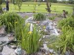 WaterGardensAndFairie.jpg