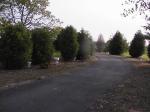 DriveWayOnTheWayOut.jpg