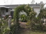 LastYearGazebo2.jpg
