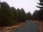 20060720003.jpg
