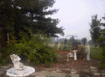 20060720006.jpg