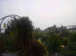 20060720007.jpg