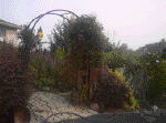 20060720008.jpg