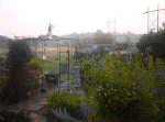 20060720011.jpg