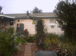 20060720012.jpg