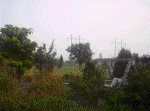 20060720014.jpg