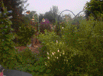 20060720016.jpg