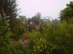 20060720017.jpg