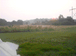 20060720018.jpg