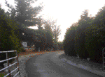 20060720020.jpg