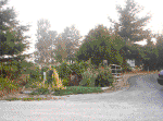 20060720021.jpg