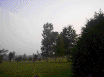 20060720022.jpg