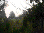 20060720023.jpg