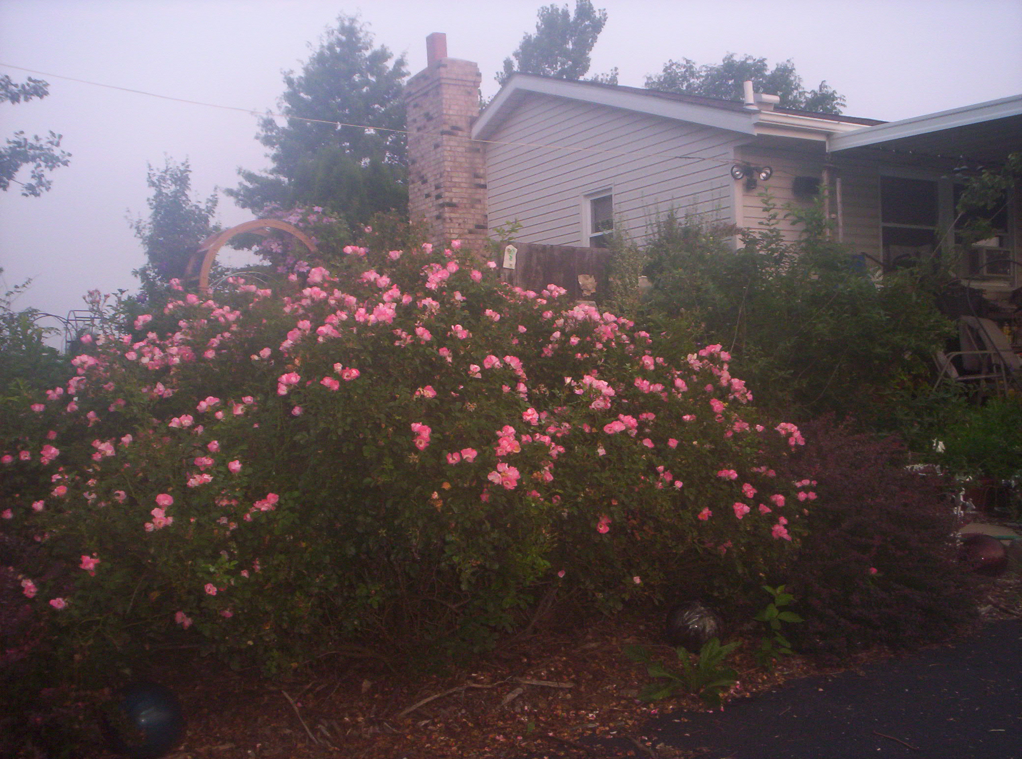 20060720001.jpg