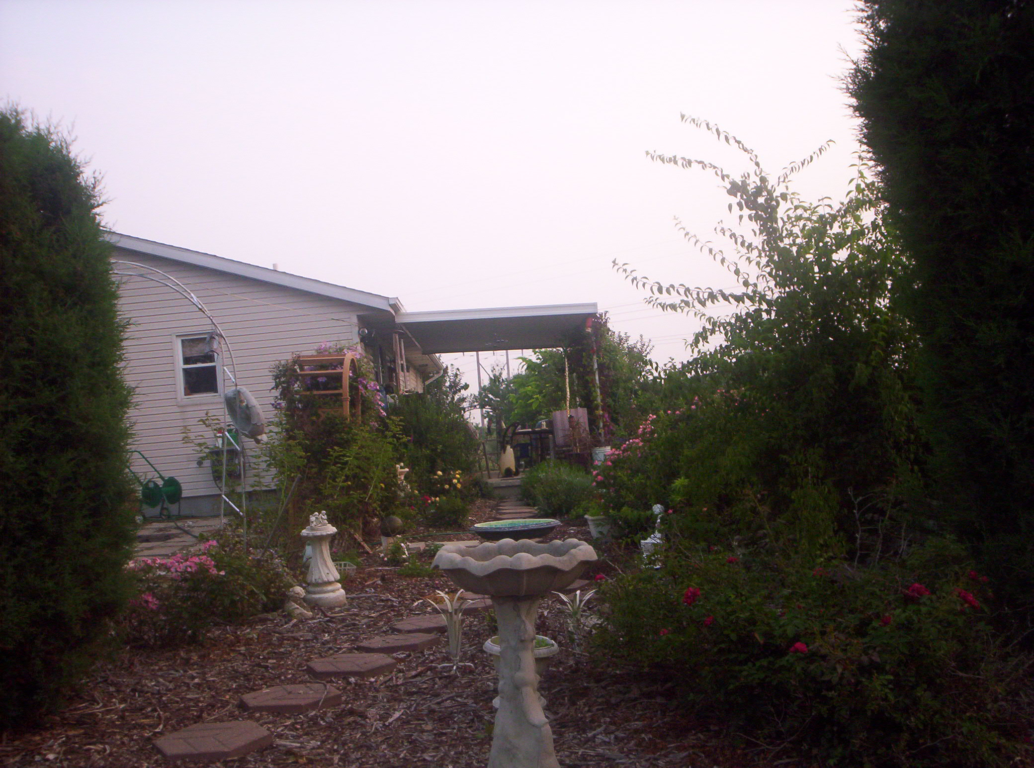 20060720002.jpg