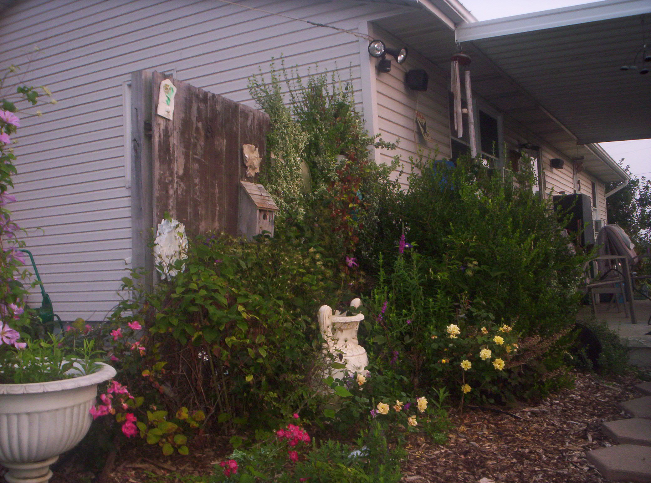 20060720004.jpg