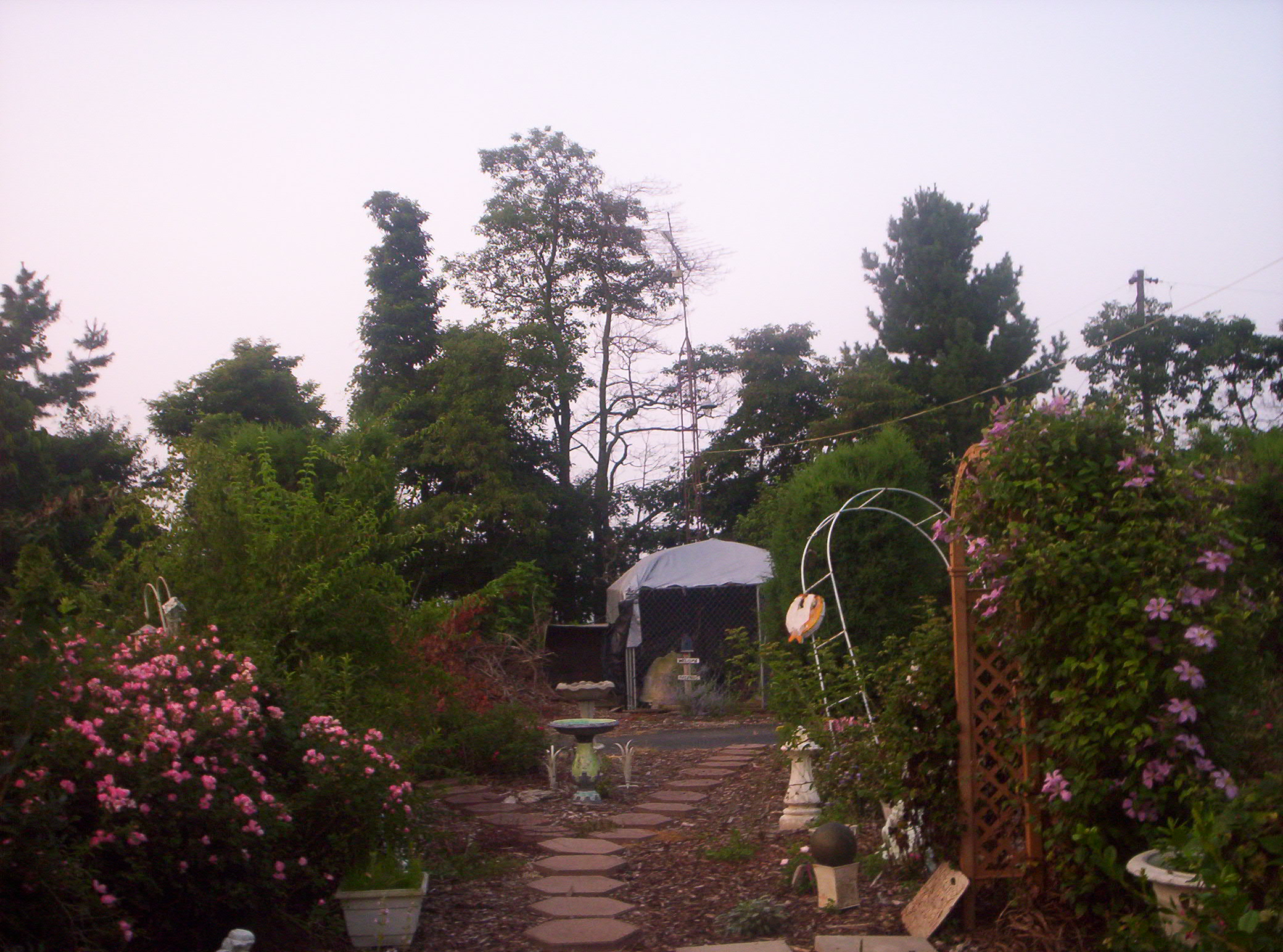 20060720005.jpg