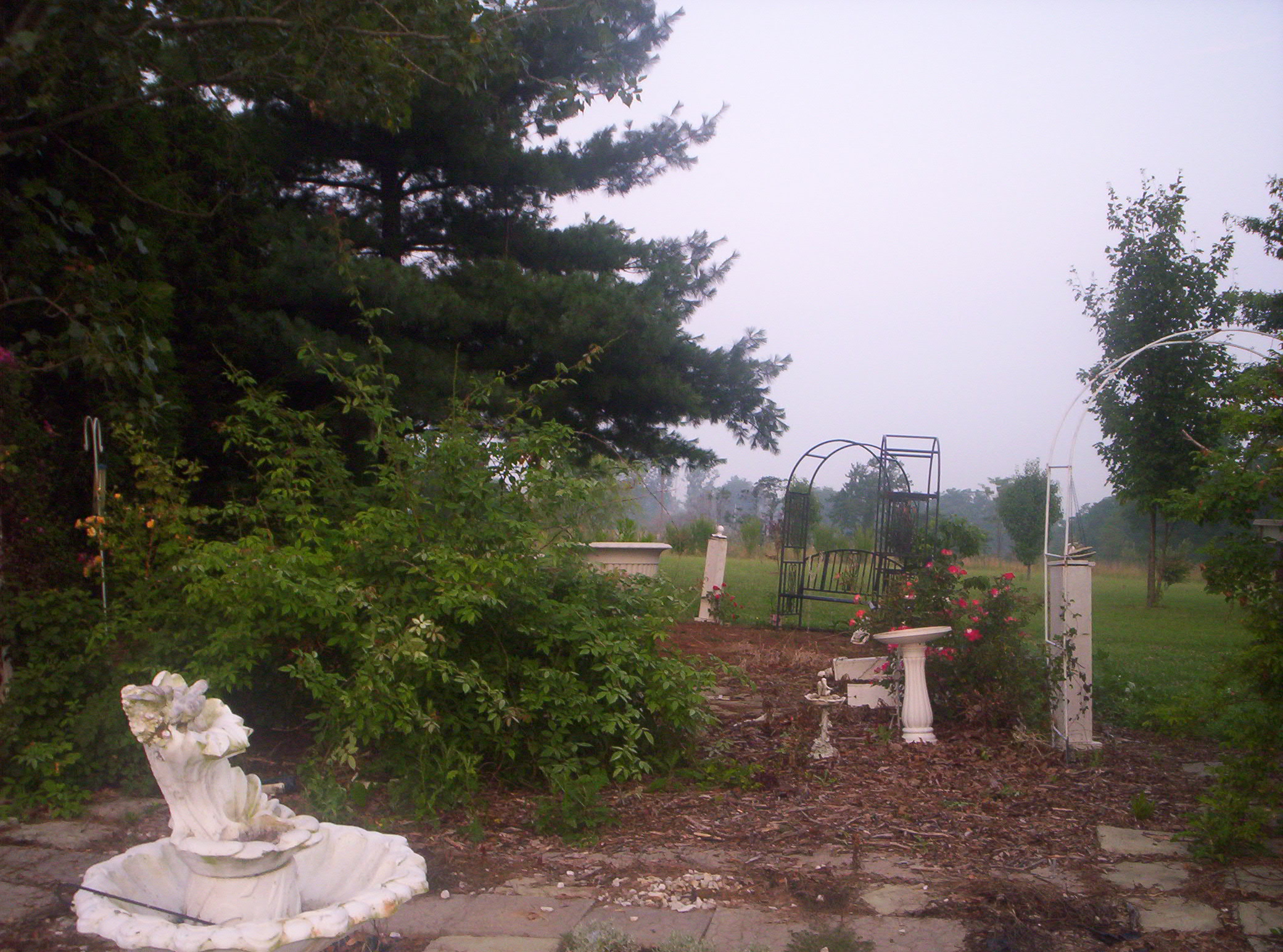 20060720006.jpg