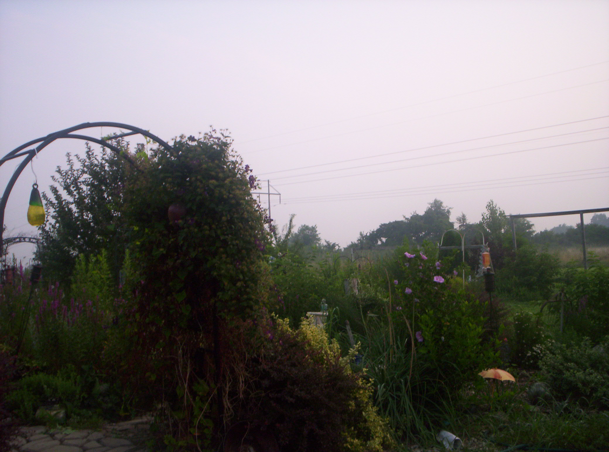 20060720007.jpg