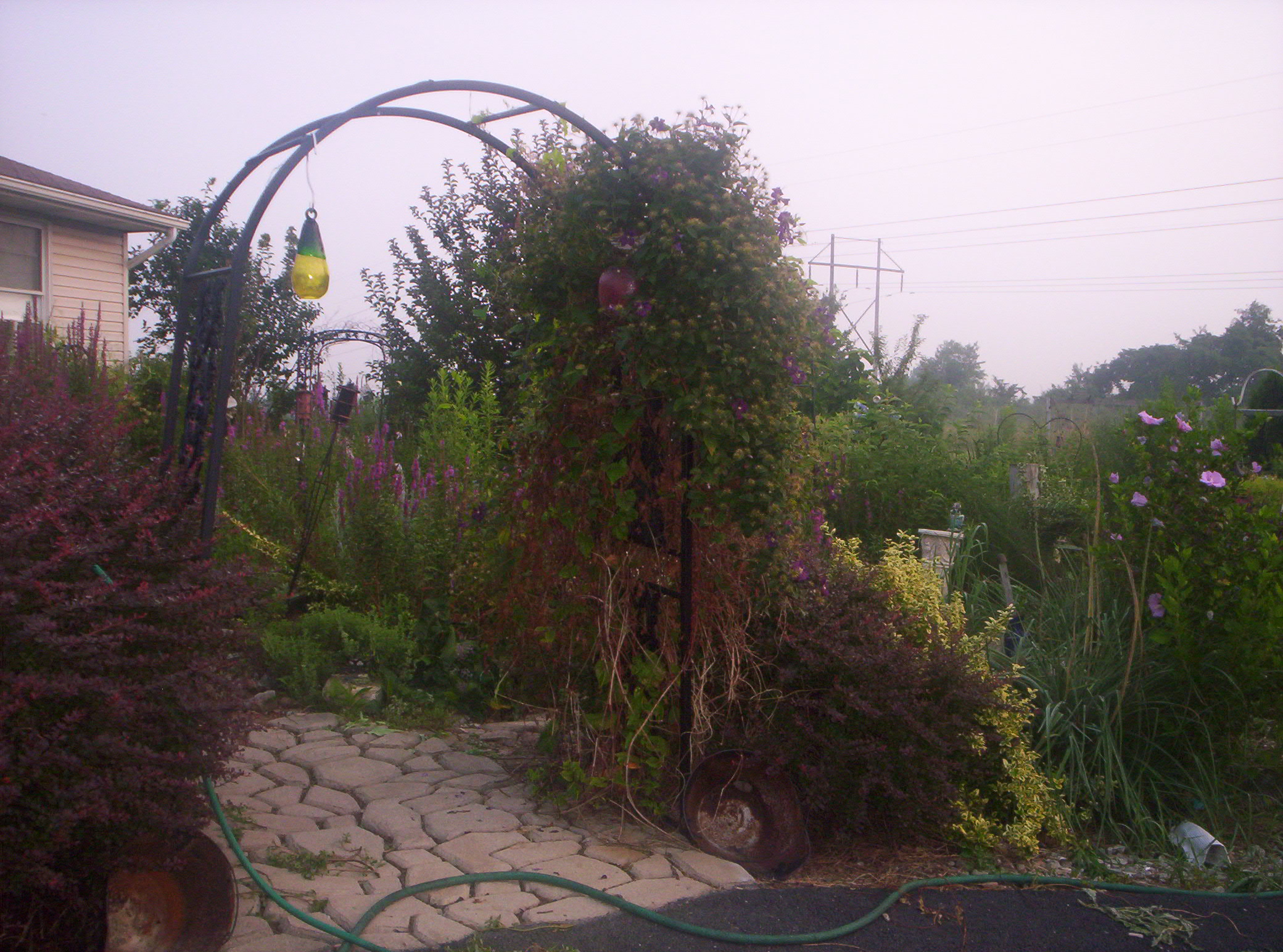 20060720008.jpg