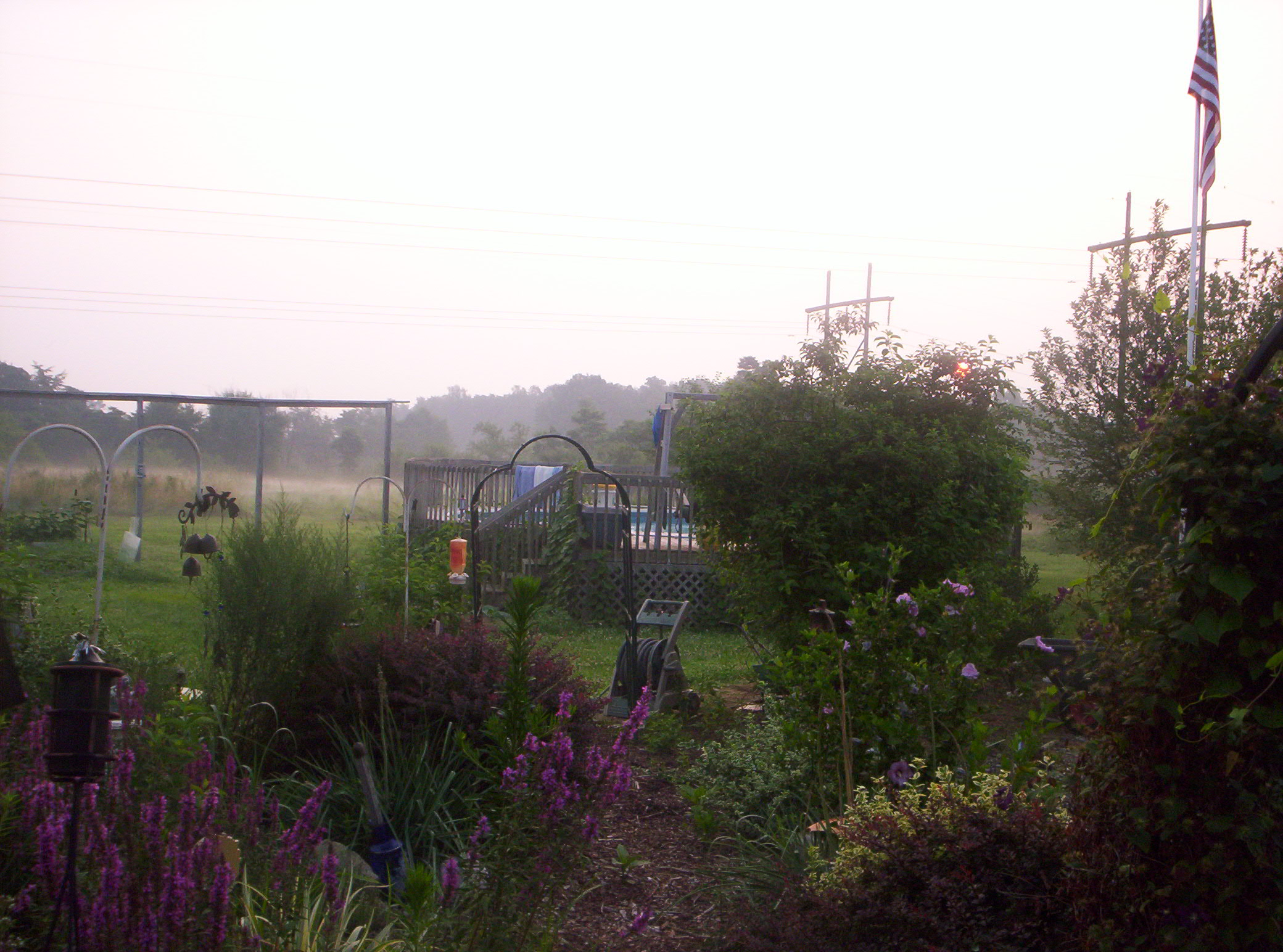 20060720009.jpg