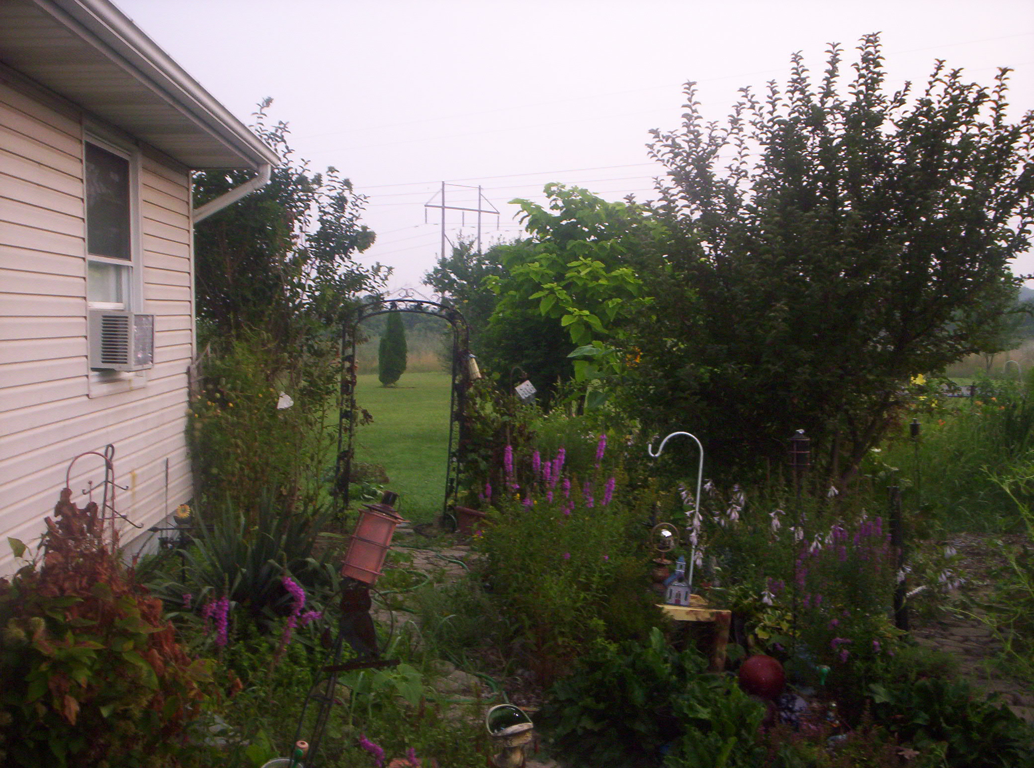 20060720010.jpg