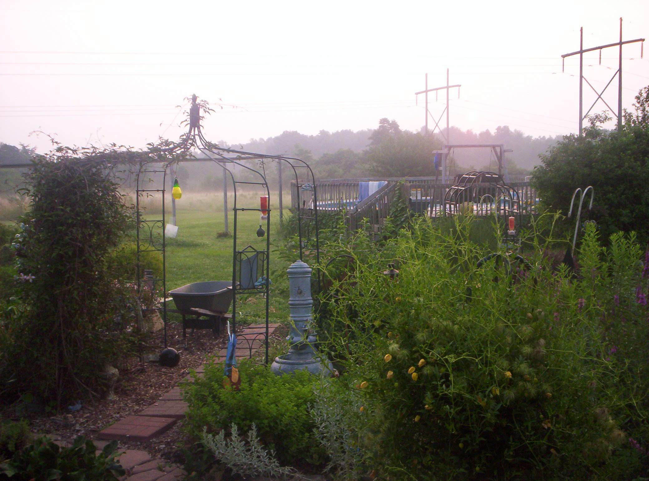 20060720011.jpg