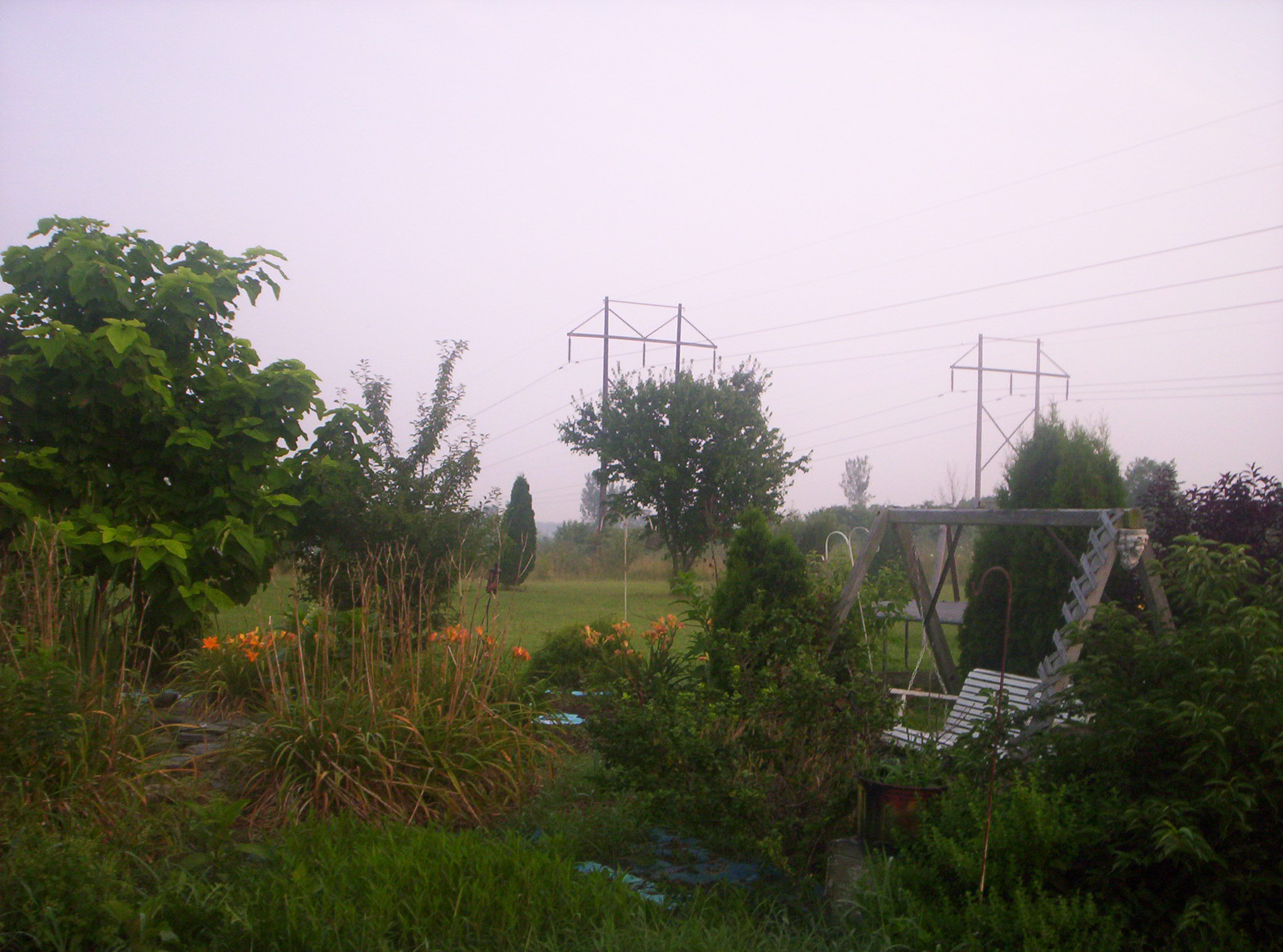20060720014.jpg