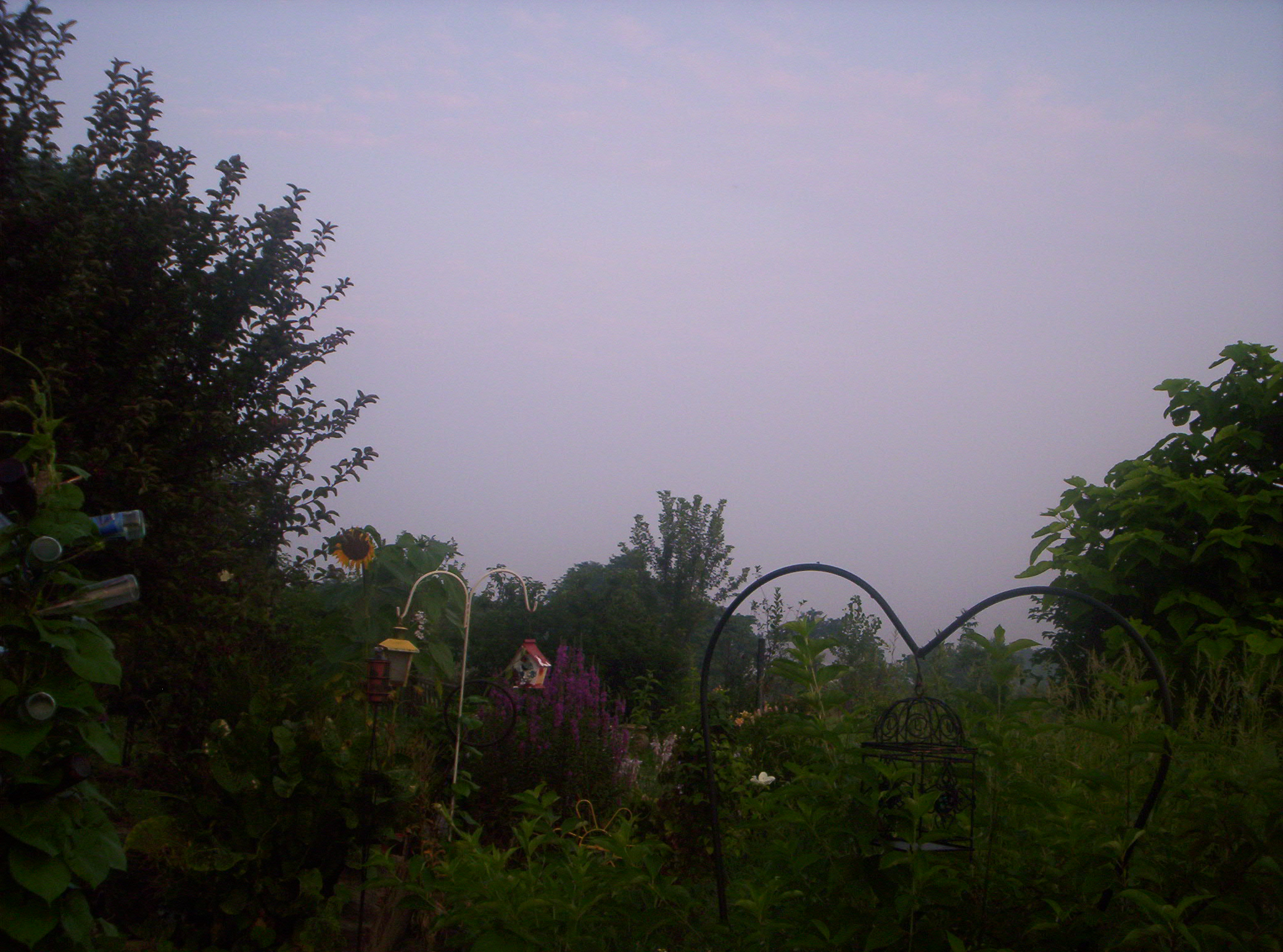 20060720015.jpg