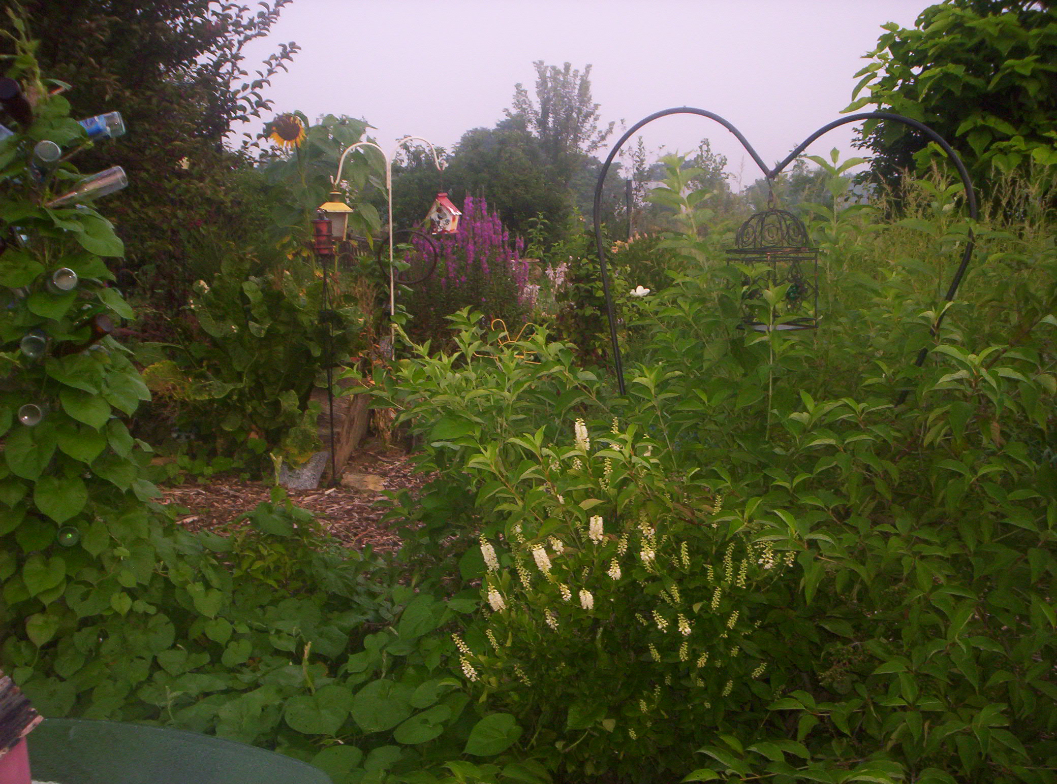 20060720016.jpg