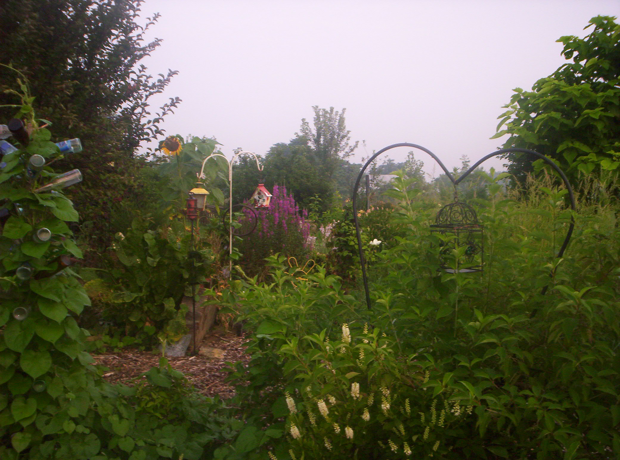 20060720017.jpg