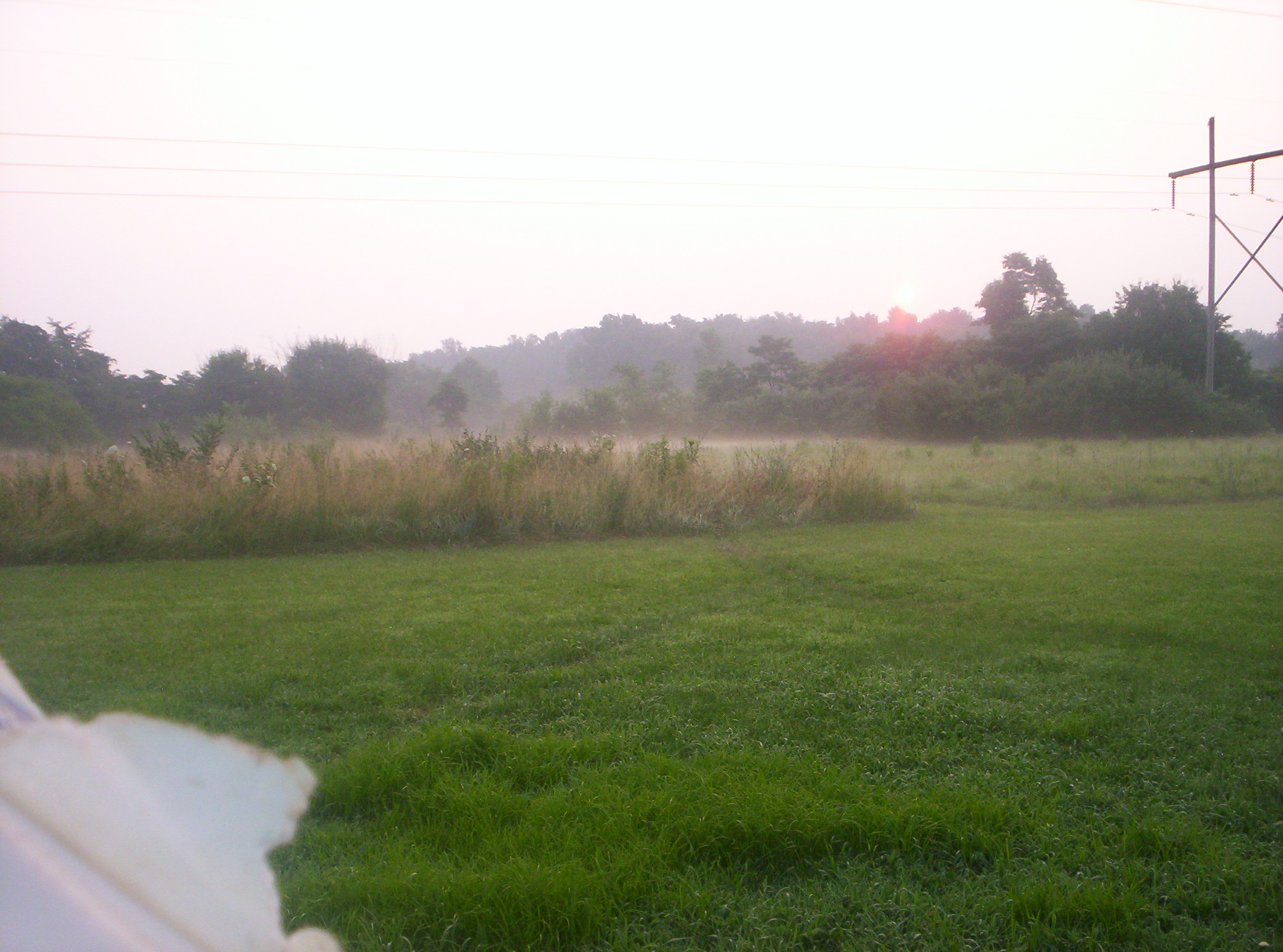 20060720018.jpg