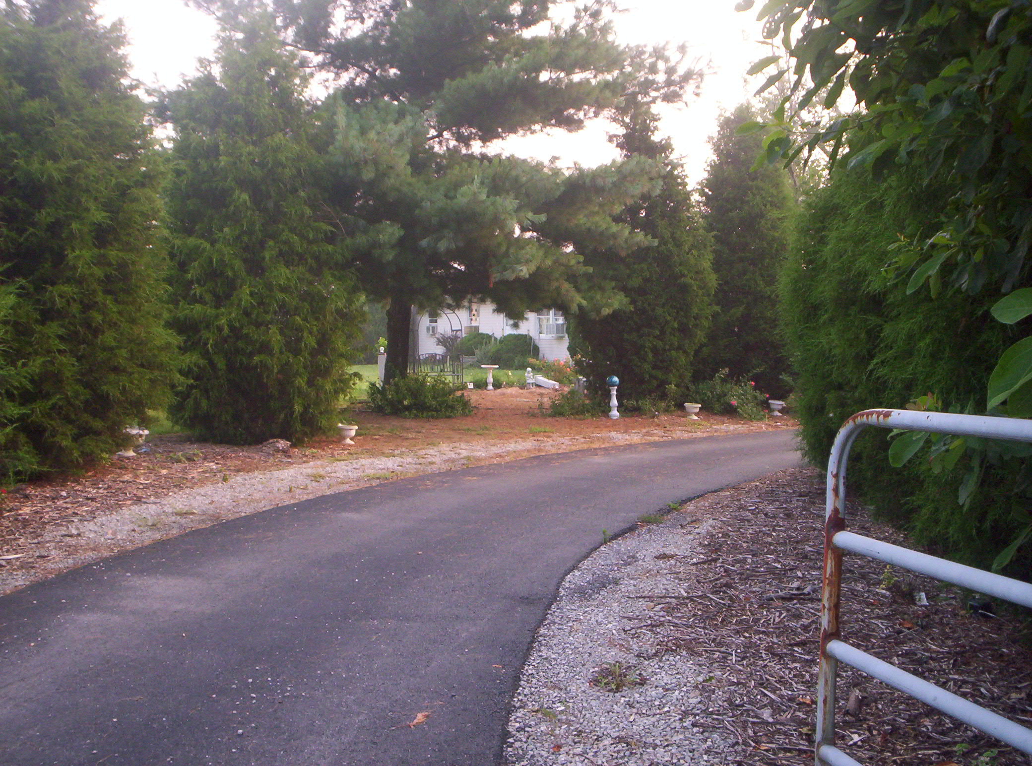 20060720019.jpg