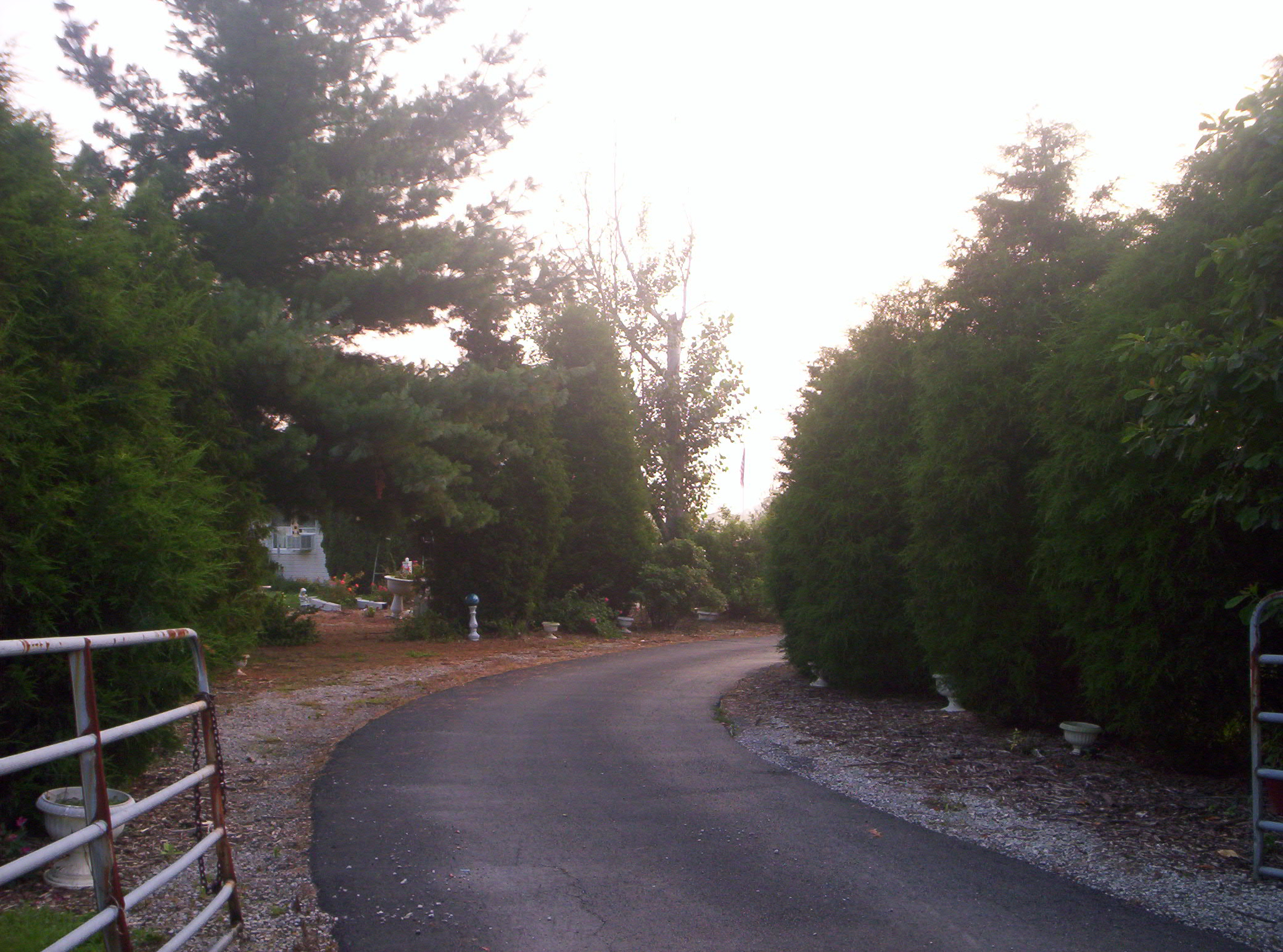 20060720020.jpg