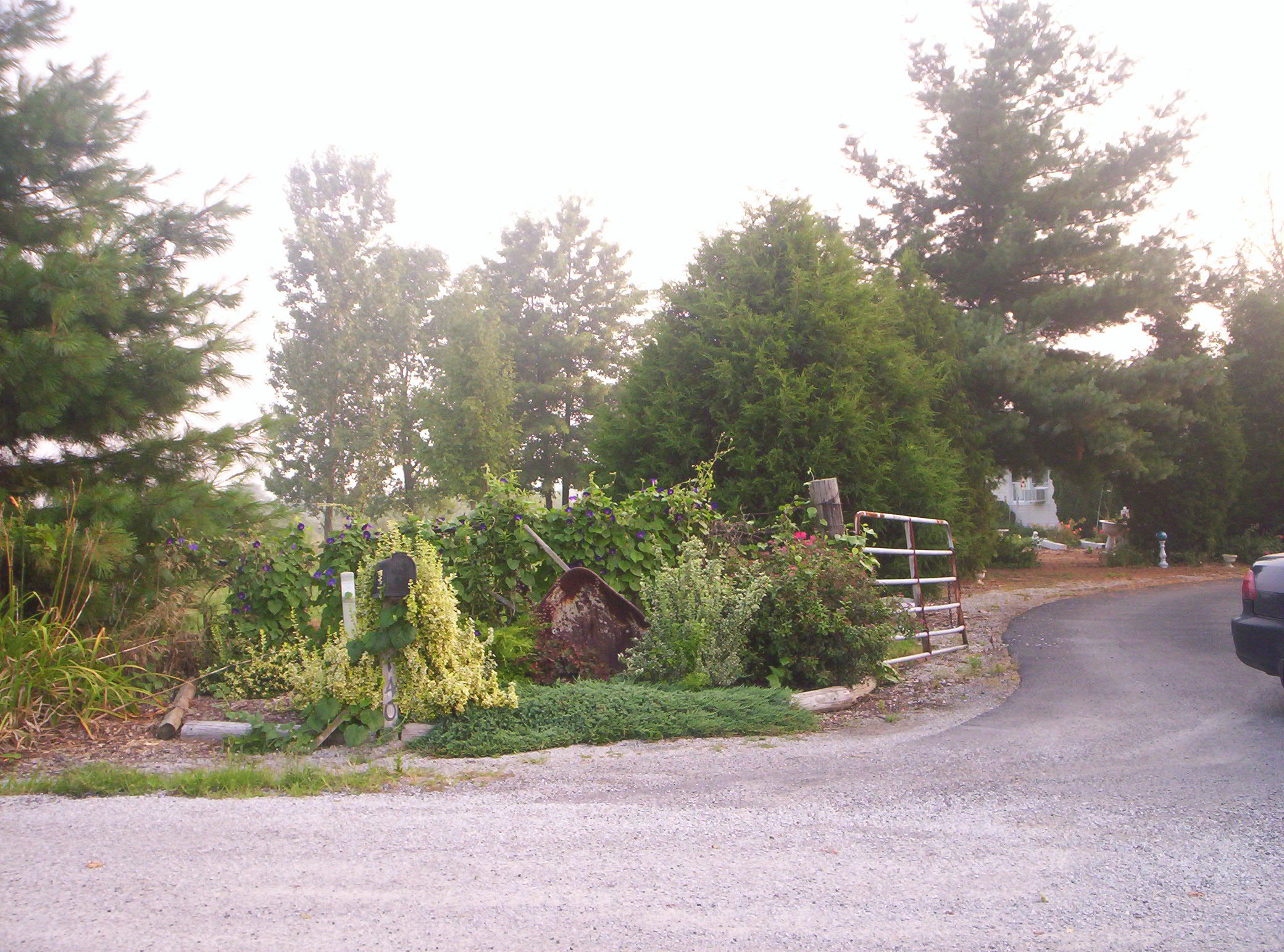 20060720021.jpg