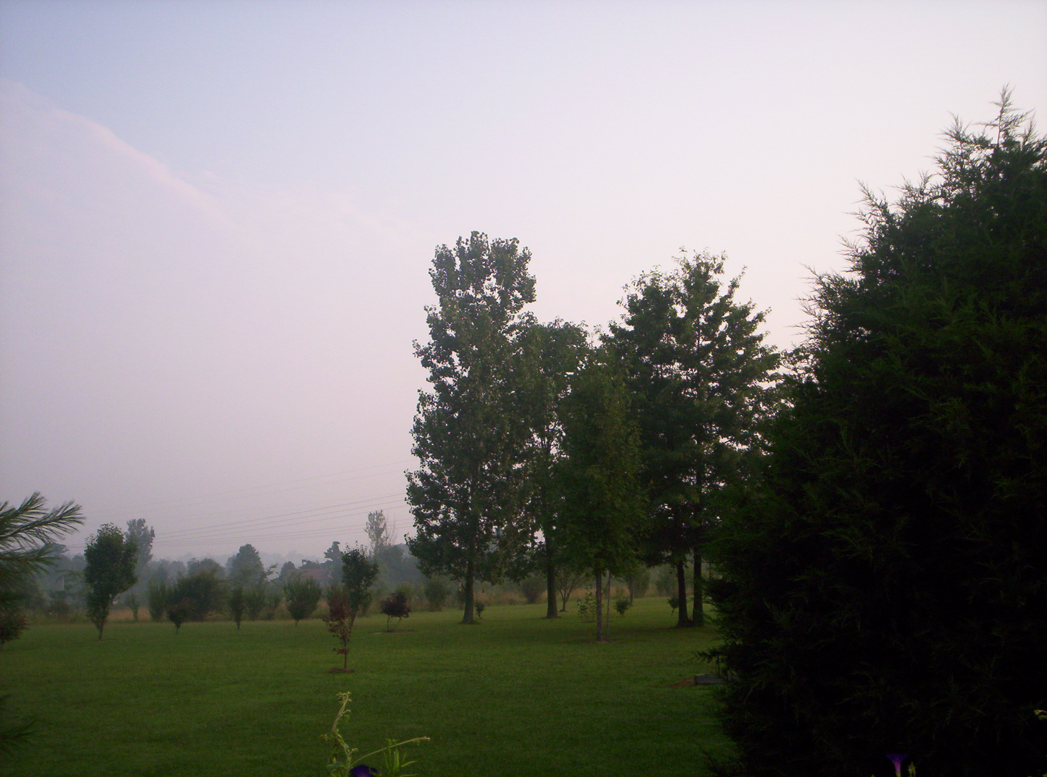 20060720022.jpg