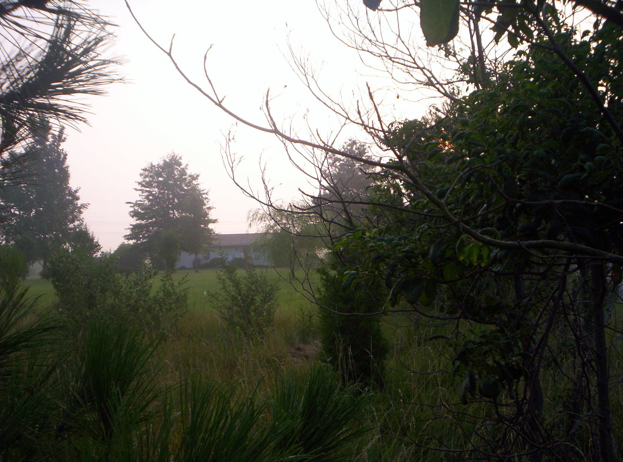 20060720023.jpg