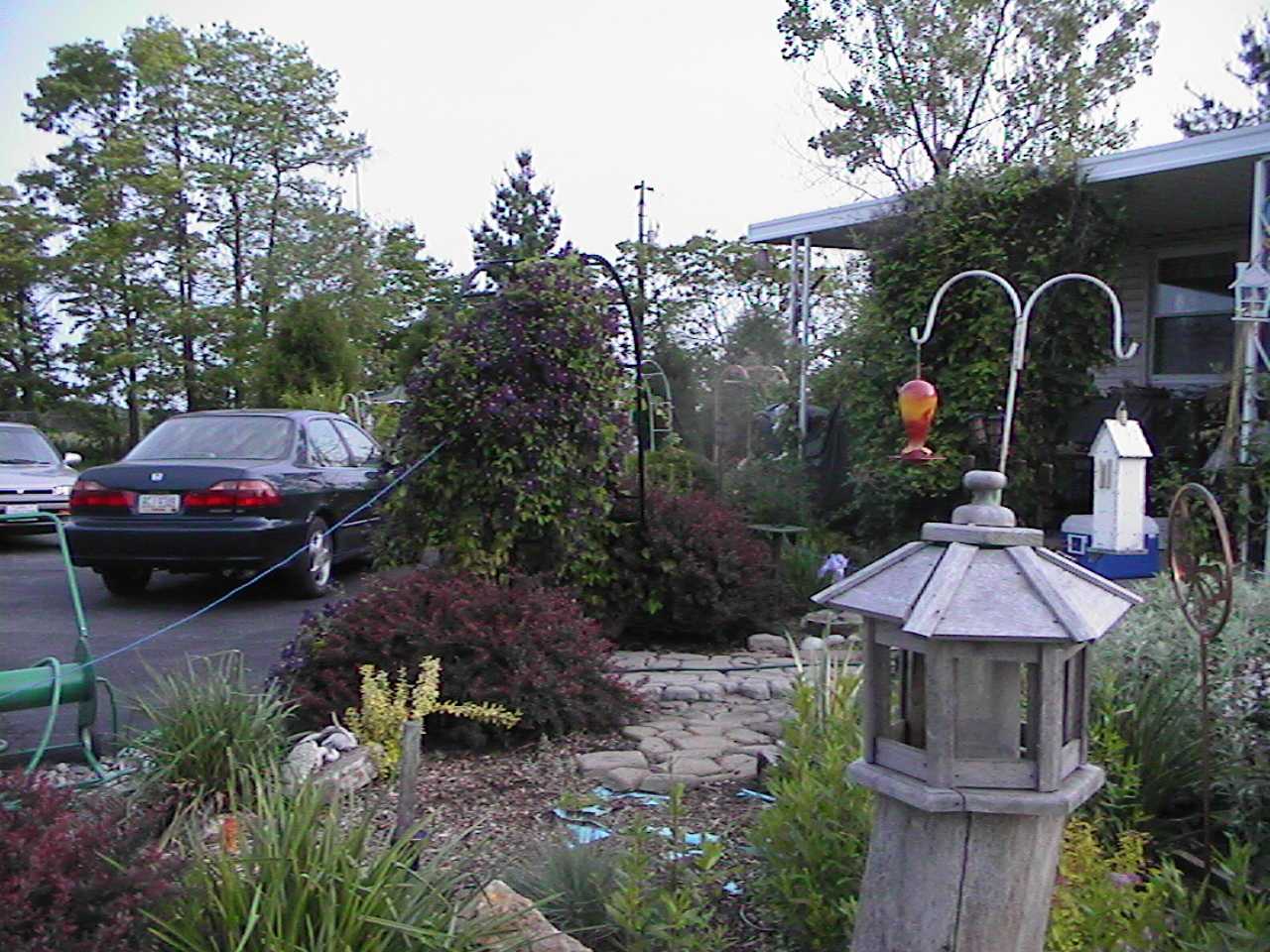 BirdFeeder.jpg