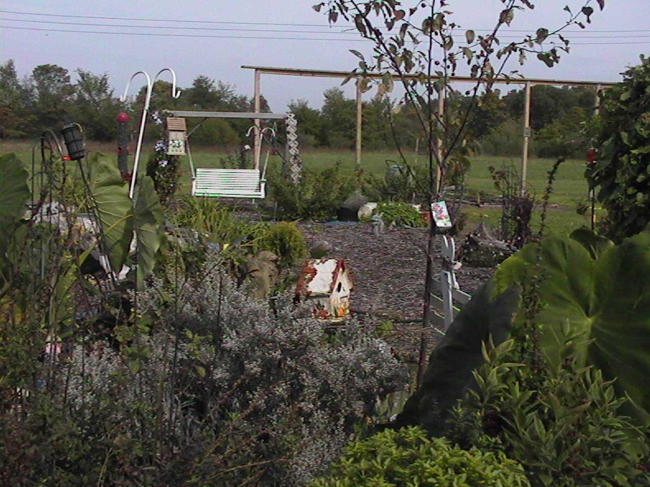 BirdHouse.jpg