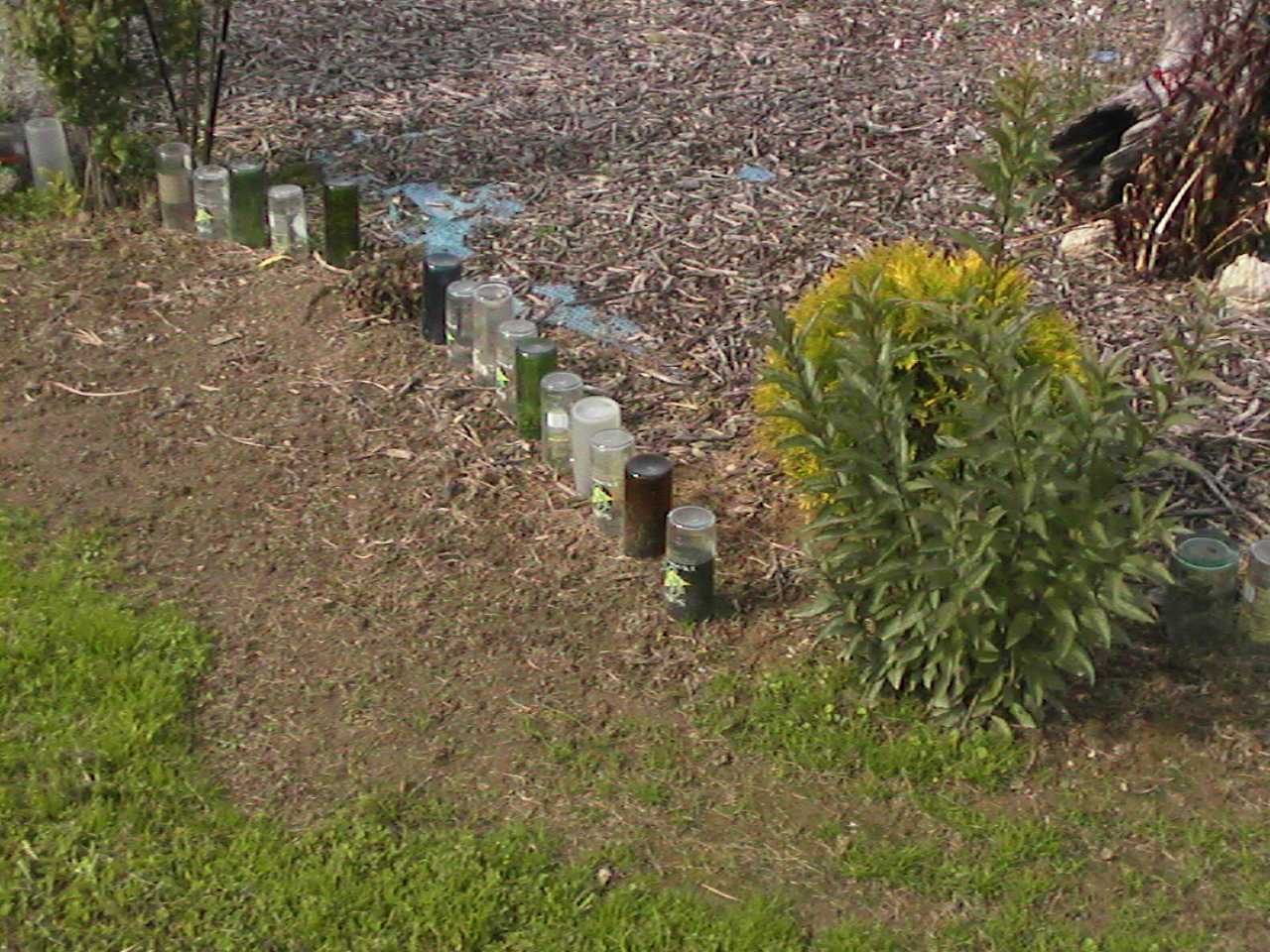 BottleBorder.jpg