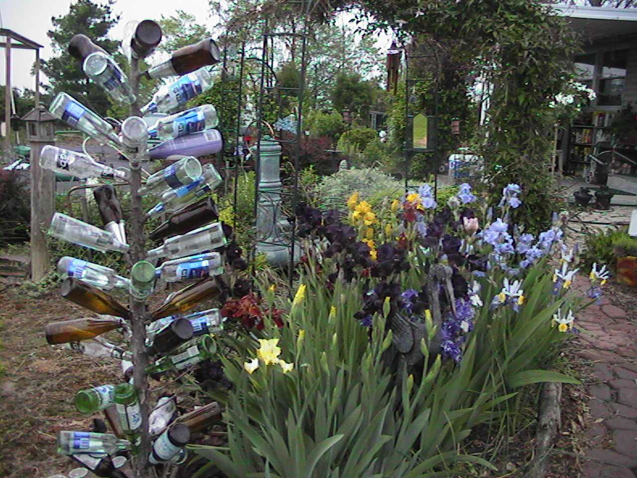 BottleTree.jpg