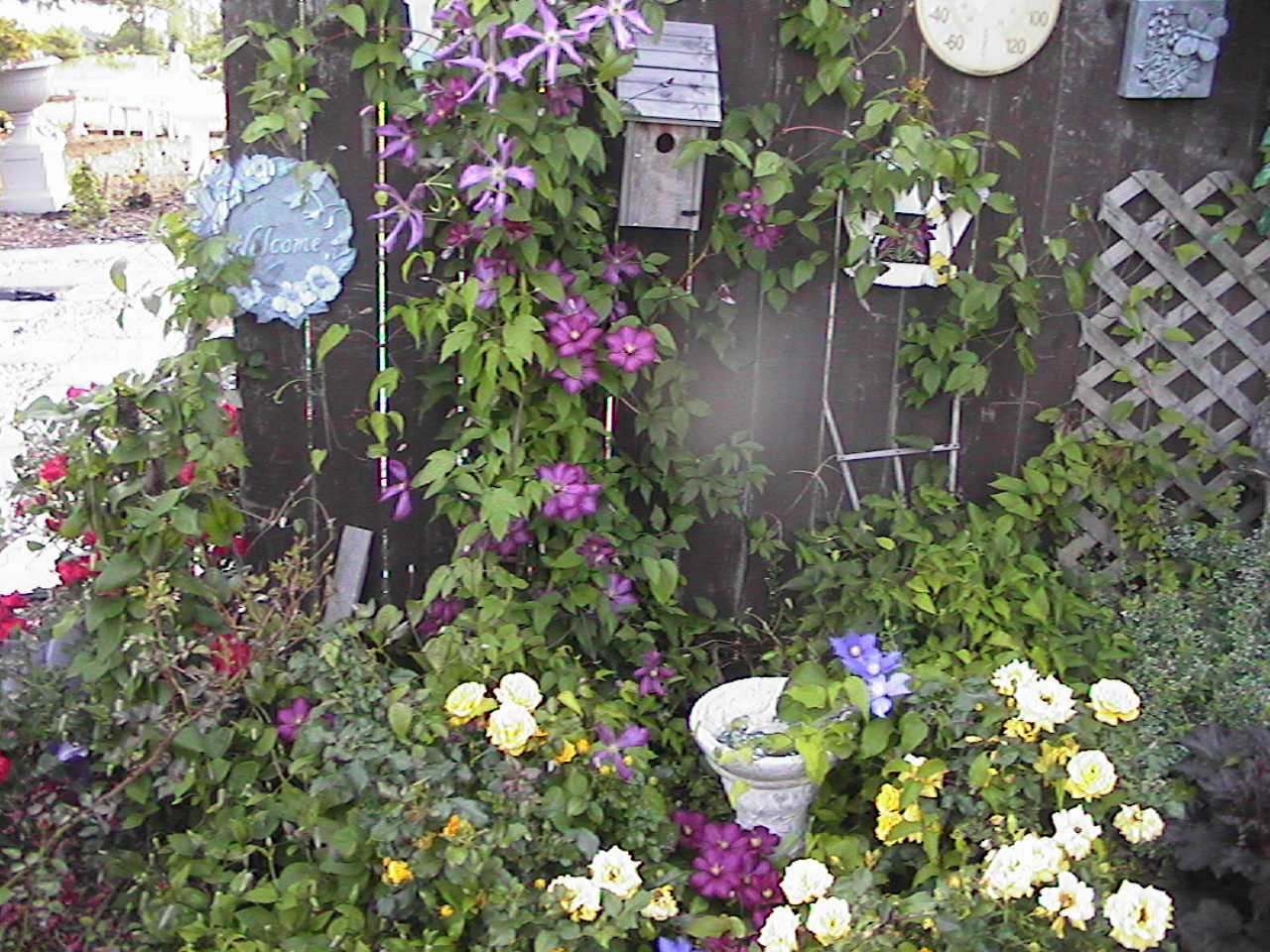 ClematisRosesAndSuch2.jpg