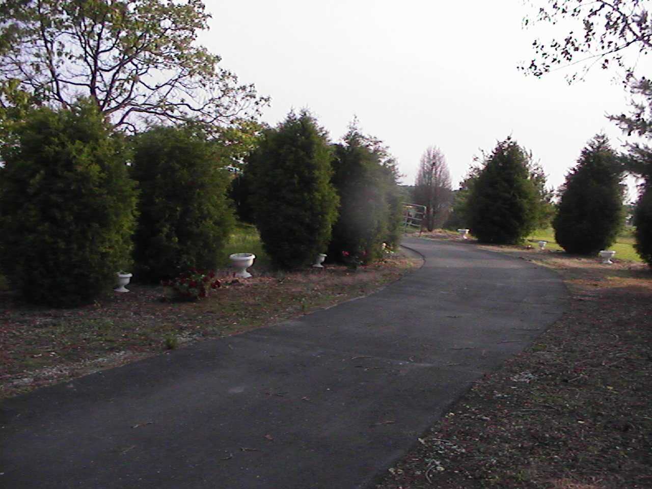 DriveWayOnTheWayOut.jpg