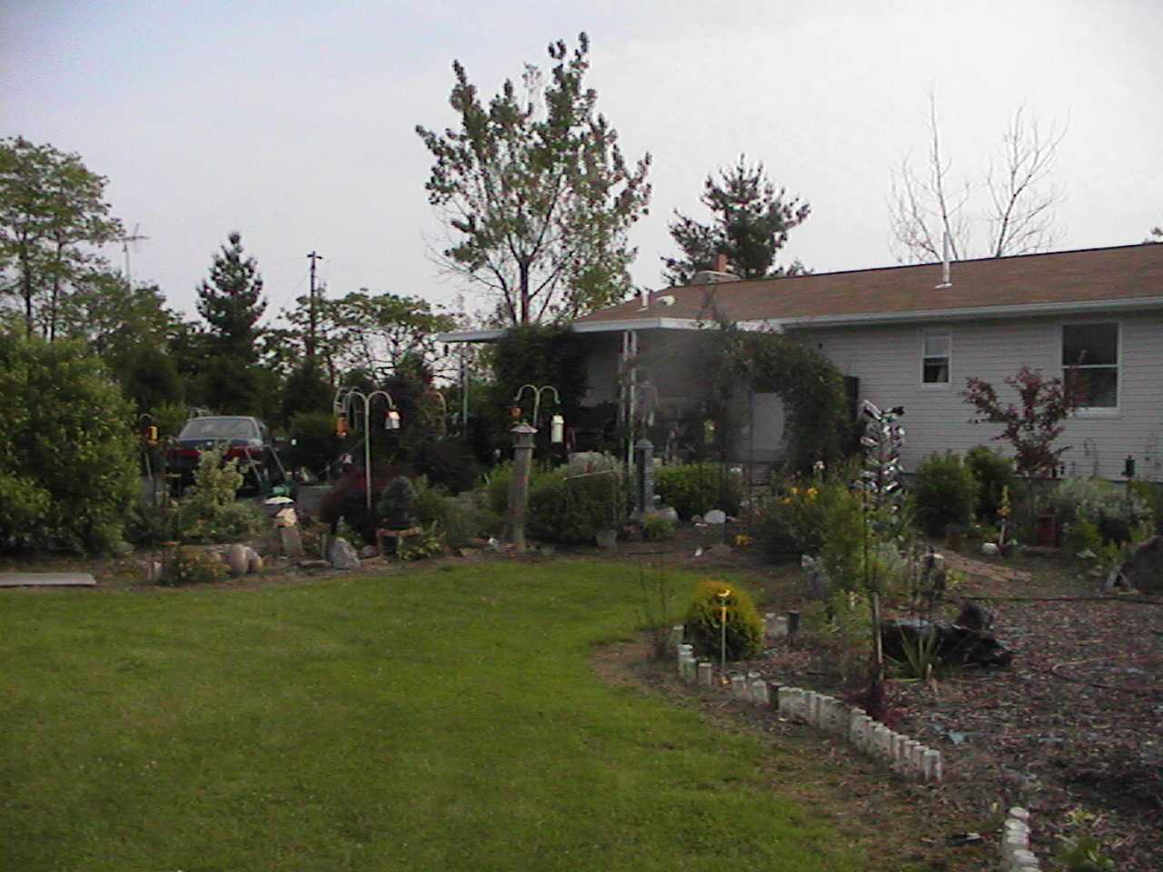 HouseFromStawberryBed.jpg