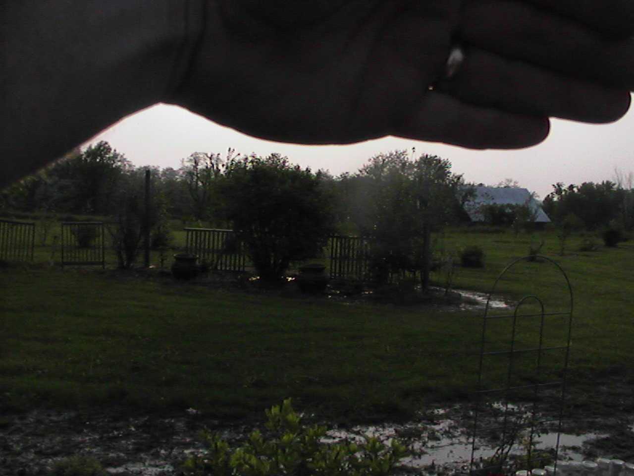 Hpnx0040.jpg