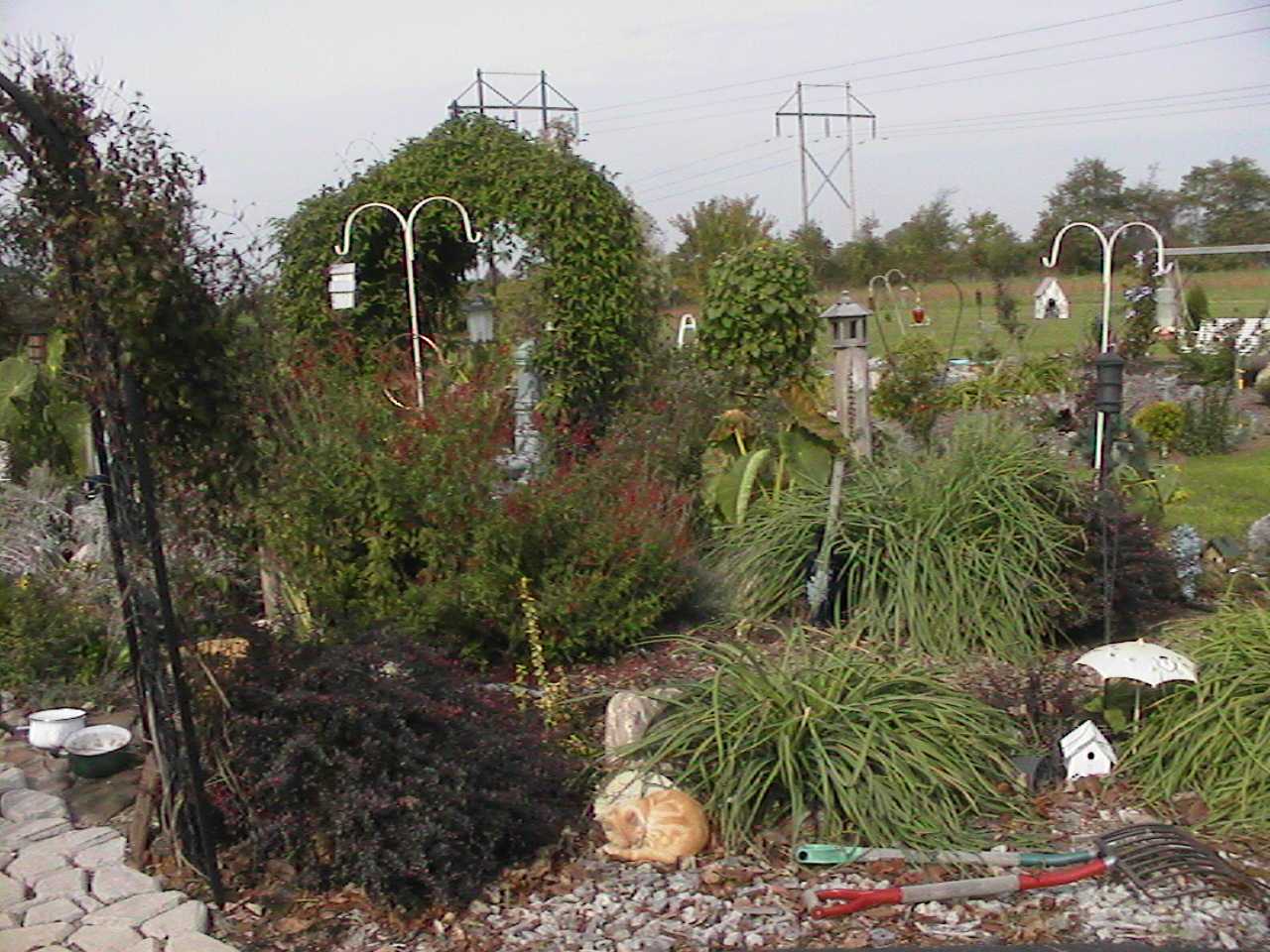 LastYearGazebo.jpg