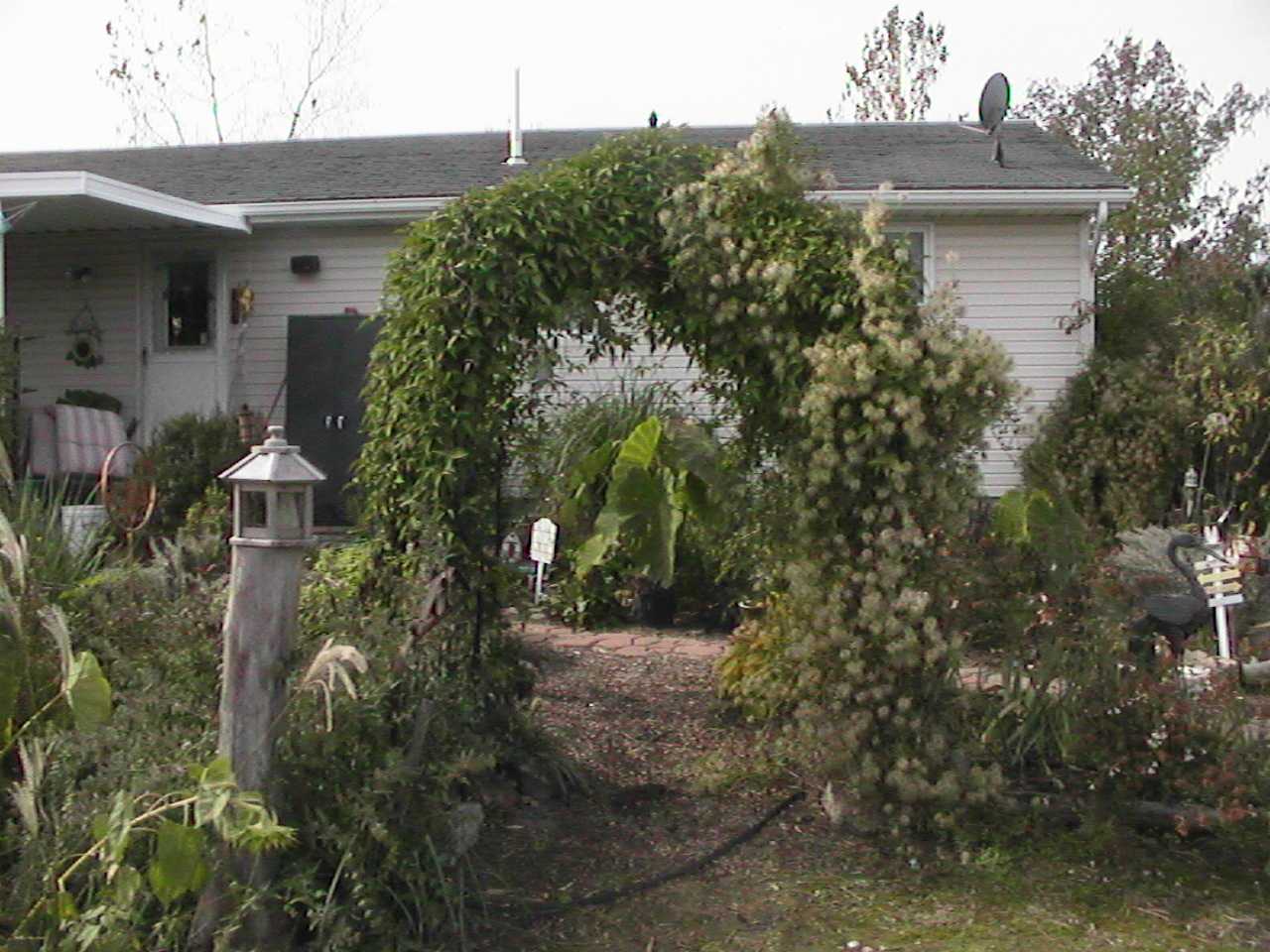 LastYearGazebo2.jpg