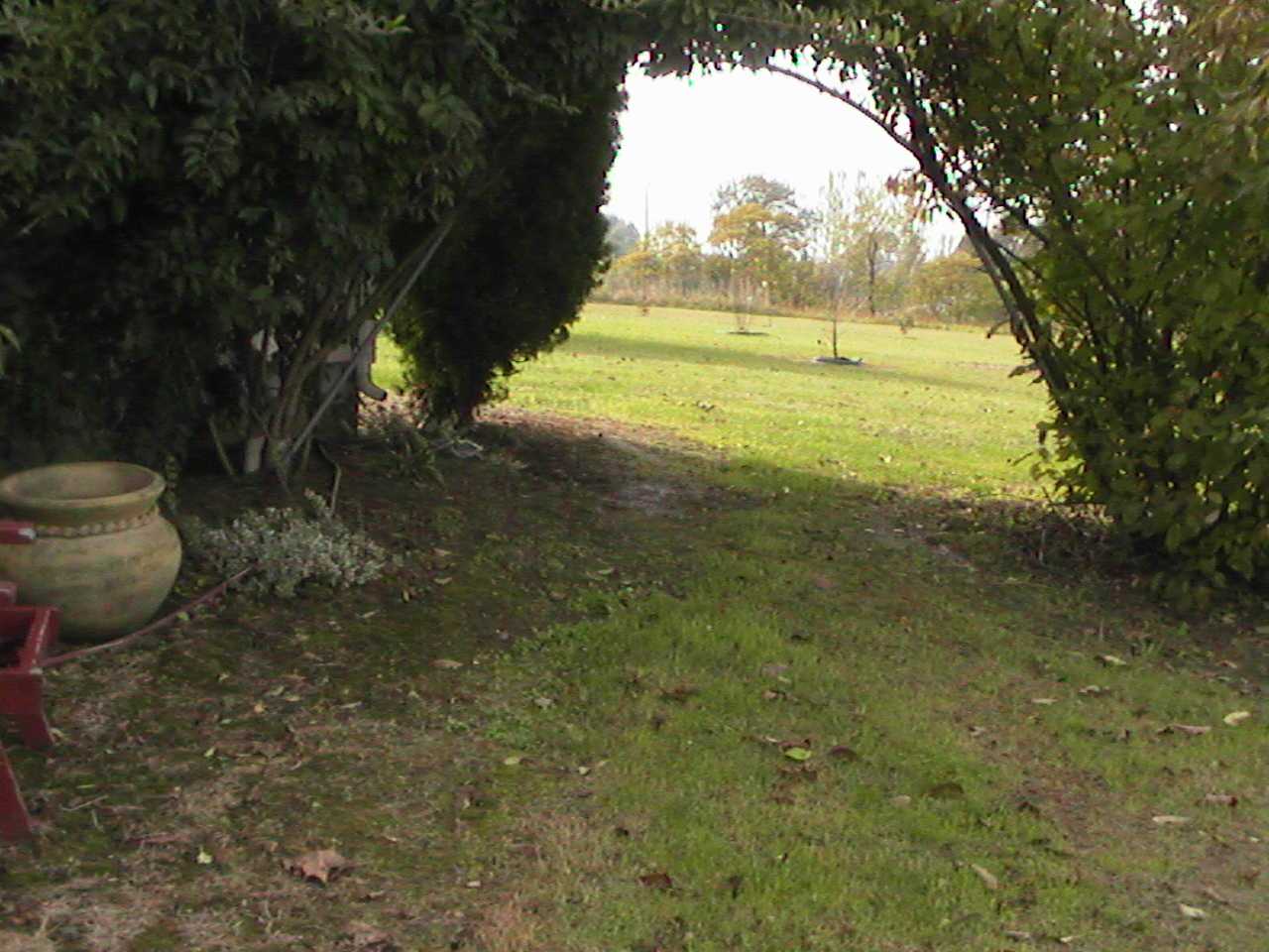 NaturalArch.jpg
