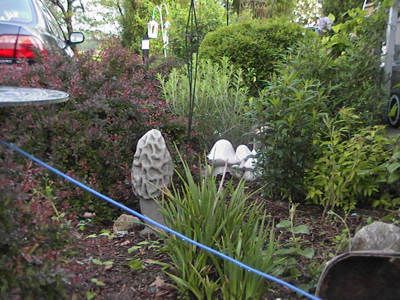 ShroomSculpture.jpg