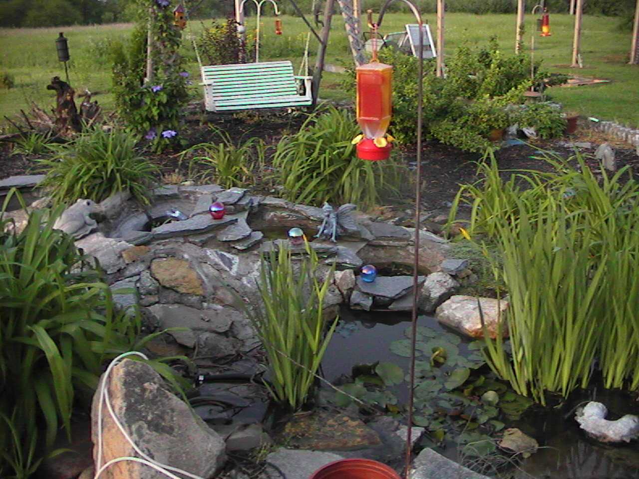 WaterGarden.jpg